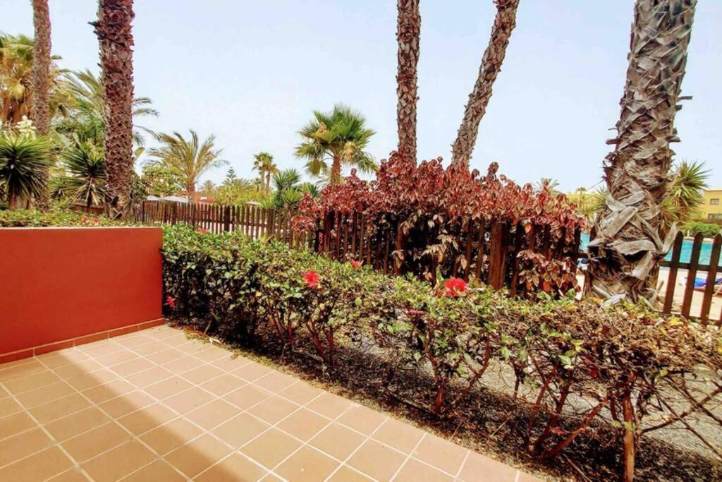 Tamarindo 28, Pool Front,Free Wifi Apartment คอร์ราเลโฮ ภายนอก รูปภาพ